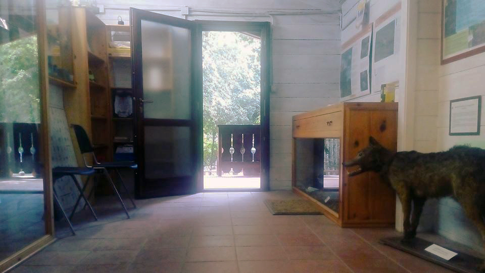 Museo del Lupo 2